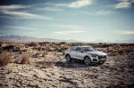 Audi Q8 50 TDI Quattro 2018 года (WW)